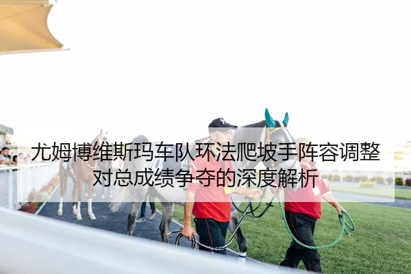 you-mu-bo-wei-si-ma-che-dui-huan-fa-pa-po-shou-zhen-rong-tiao-zheng-dui-zong-cheng-ji-zheng-duo-de-shen-du-jie-xi-1-942.jpg